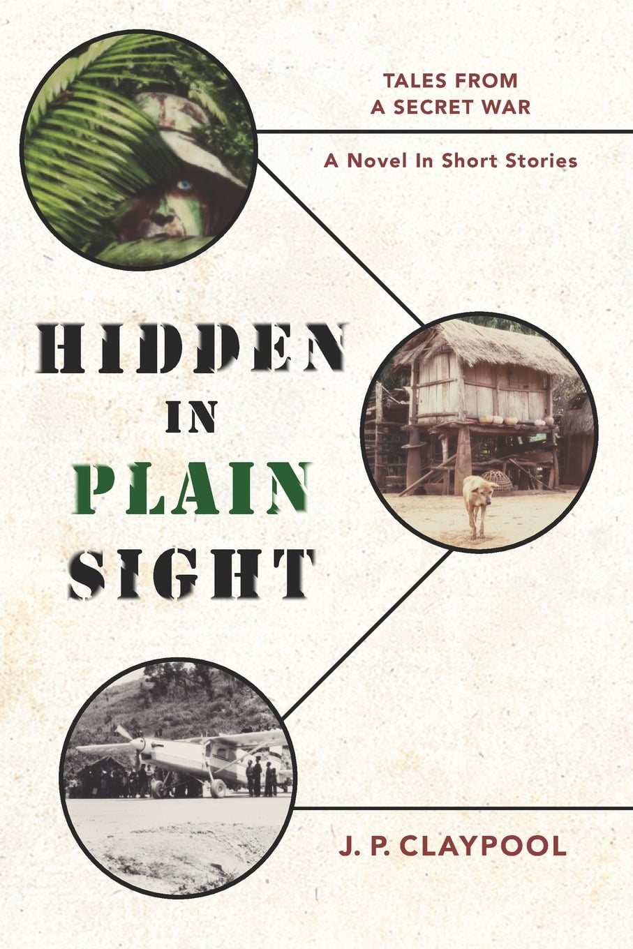 Hidden in Plain Sight Hidden in Plain Sight Tales from a Secret War