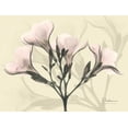 thumbnail image 2 of Koetsier, Albert 24x19 Gold Ornate Wood Framed with Double Matting Museum Art Print Titled - Oleander in Pink on Beige, 2 of 4