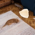 thumbnail image 3 of Caja de arena para conejos, inodoro para cobayas, caja de arena para animales pequeños, orinal de entrenamiento para conejos, 3 of 6