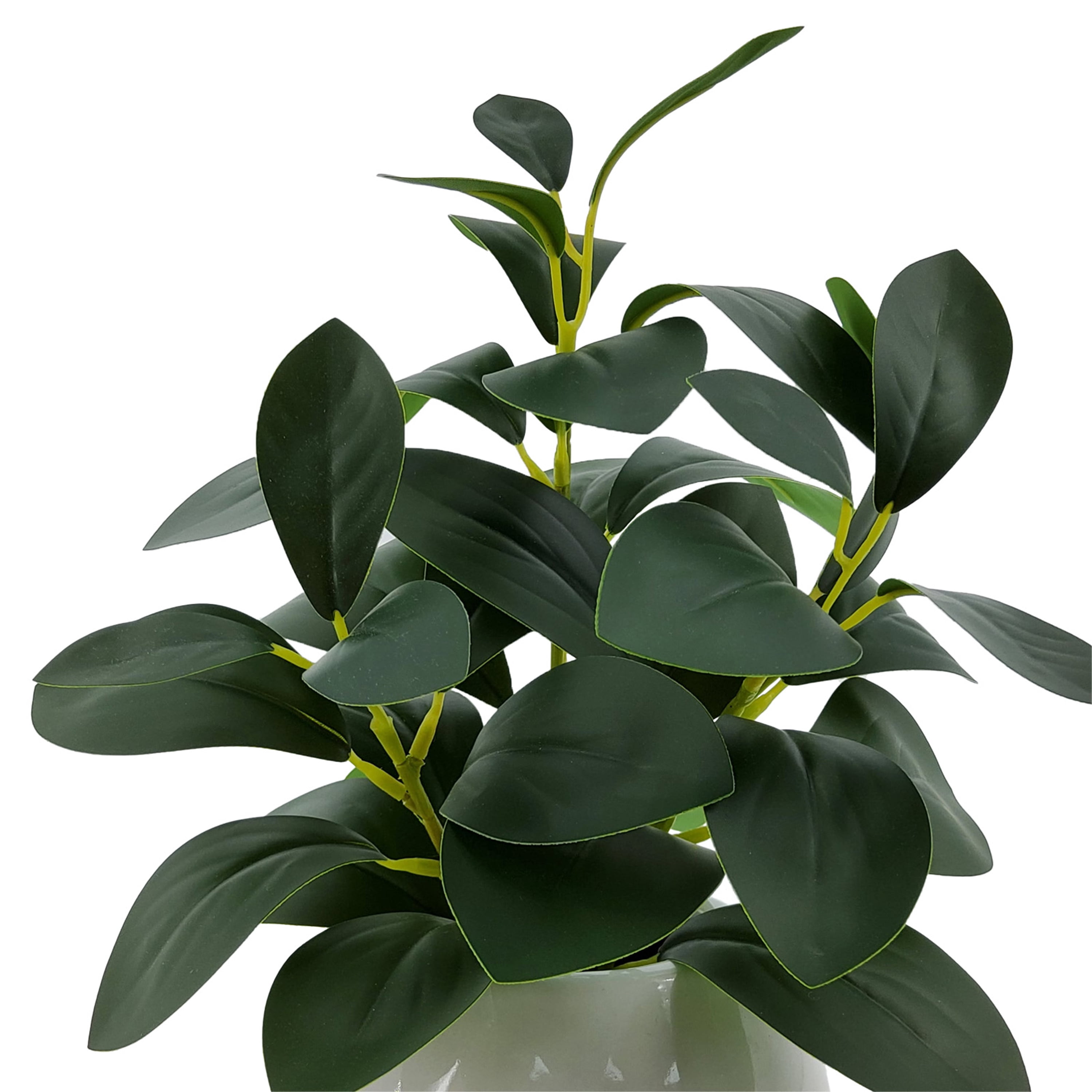 (4 pack) Mainstays Indoor Artificial Peperomia Plant in White Ceramic Pot, 11 in