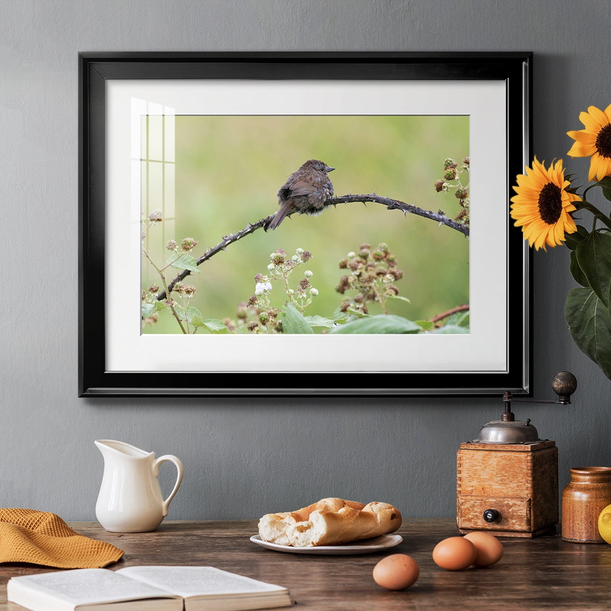 Resting Sparrow Premium Framed Print - Ready to Hang