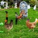 thumbnail image 1 of Decoraciones de Halloween, adornos de Halloween, regalos de Halloween, escena exterior de acrílico, arte de patio, decoración de pollo simulado, decoración de patio, tablero de inserción de suelo de d, 1 of 6