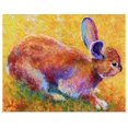 thumbnail image 1 of Great BIG Canvas | Rolled Marion Rose Poster Print entitled Cottontail I, 1 of 4