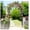 Black, variant on Metal Garden Arch Trellis - 8 Styles Freestanding Arbor for Climbing Plants, Roses - Weather Resistant Steel
