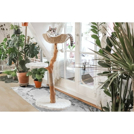 UPC: 0850006400607 | Mau Lifestyle Uni Cat Tree Durable White
