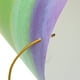 thumbnail image 4 of 10 Uds sombrero de cumpleaños sombrero de fiesta sombrero de papel tocado de fiesta cumpleaños de niños, 4 of 7