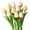 Light Champagne, variant on Grandest Birch 15Pcs Artificial Tulips Lifelike Realistic Plastic Faux Silk Floral Simulation for Home,Yellow