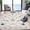 Beige, variant on 2*6ft/5*7ft/8*10ft/9*12ft/10*13ft Insect Washable Soft Area Rugs for Living Room Bedroom Ultra-Thin Non Slip Dining Room Stain Resistant Rug Large Carpet for Office Nursery Bedroom