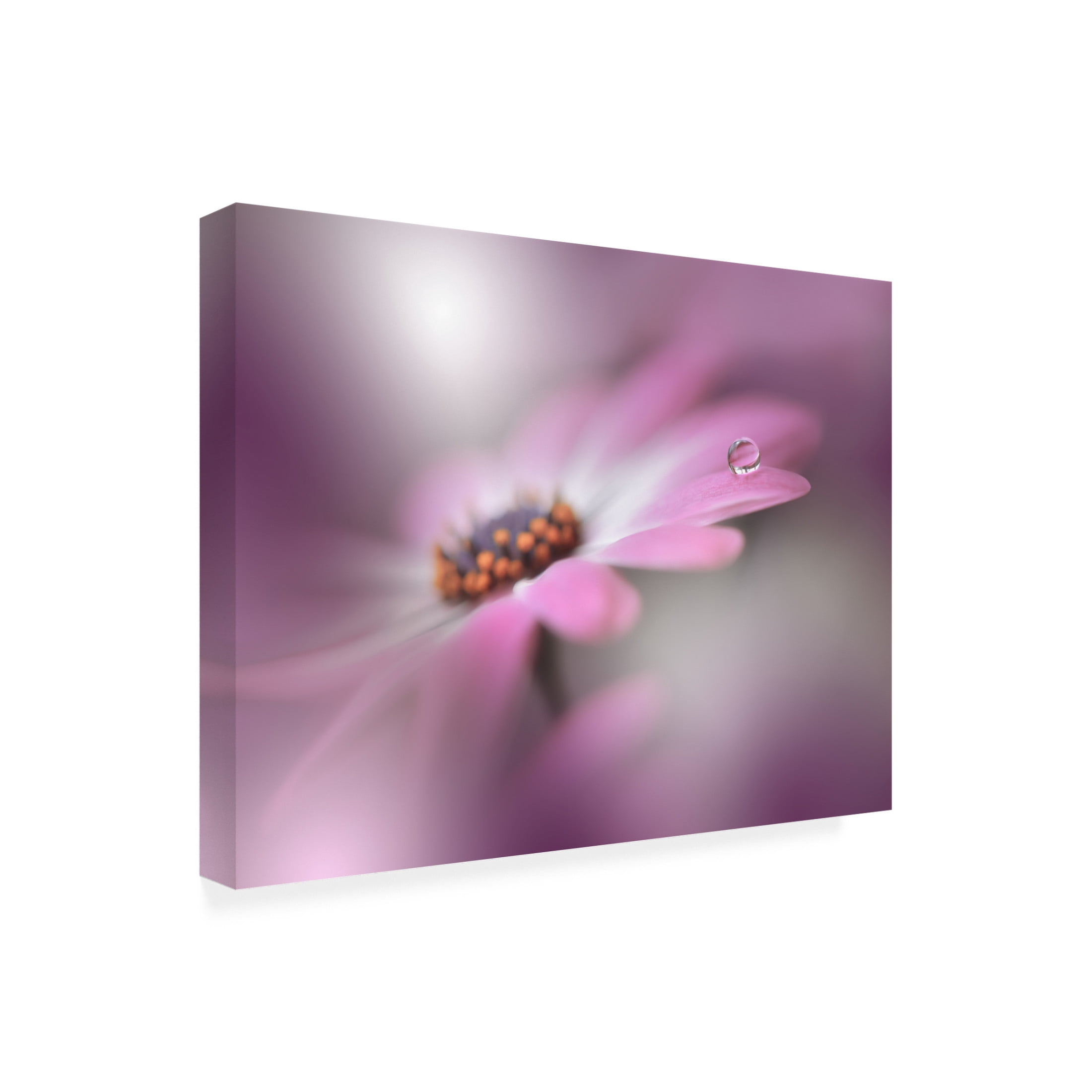 Trademark Fine Art Juliana Nan Echoes of Hope II Canvas Wall Art