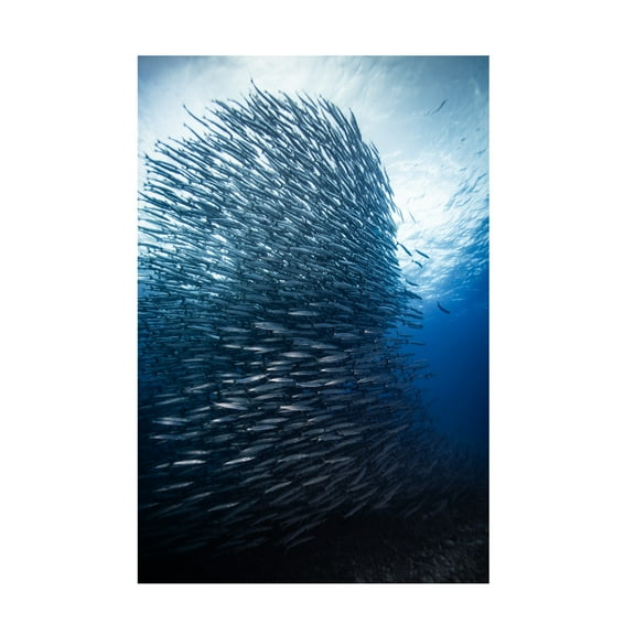 Yonghoon Choi 'Skyscraper' Canvas Art