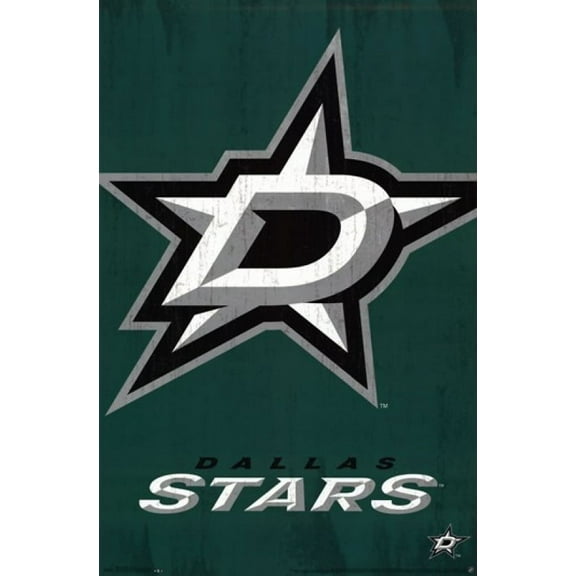 Dallas Stars - Logo 2013 Poster Print (22 x 34)