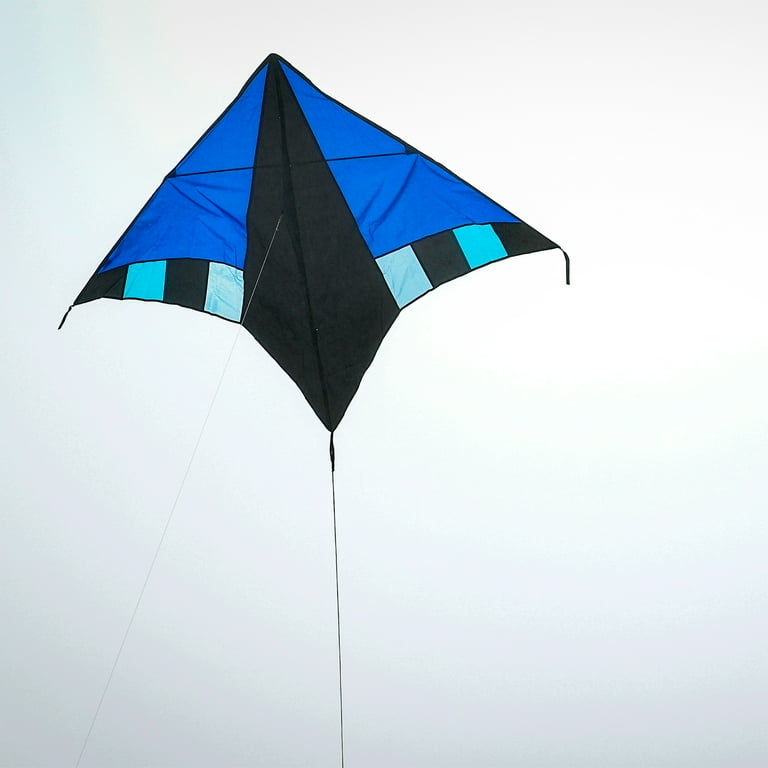 In the Breeze 3085 — Cool Delta Kite with Spinner — Easy