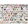 thumbnail image 1 of Rompecabezas EuroGraphics Mundo de Gatos de 1000 piezas, 1 of 3