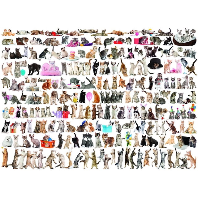Rompecabezas EuroGraphics Mundo de Gatos de 1000 piezas