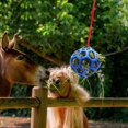 thumbnail image 5 of BEMS-1 pieza, pelota de regalo para caballos, alimentador de heno colgante estable, pelota de juguete, 5 of 5