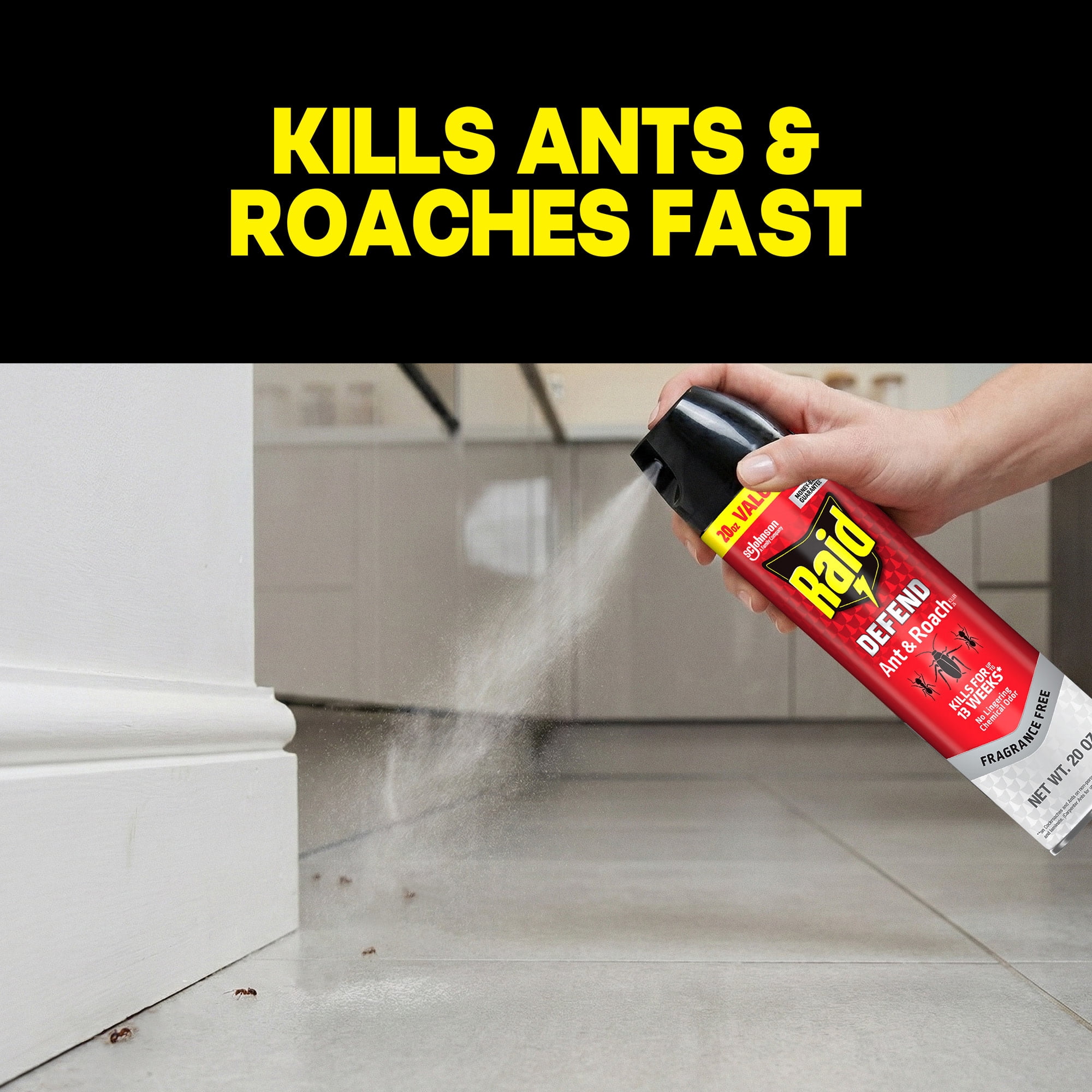 (2 pack) Raid Defend Ant and Roach Killer, Fragrance Free Indoor Home Bug Control Spray, 20 oz