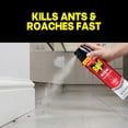 thumbnail image 4 of Raid Defend Ant & Roach Killer, Indoor Insecticide, Residual Killing Power, Fragrance Free, 20 oz, 4 of 15