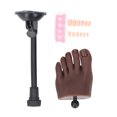 thumbnail image 2 of Practice prosthetic Foot Model, prosthetic Foot Model Nail Practice Foot Mannequin with Stand, Flexible Bendable Soft Silicone Practice Foot for Nail Art Practice Manicure Display, 2 of 7