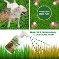 PetraTools Green Grass Paint for Lawn, RTU Green Grass Lawn Spray