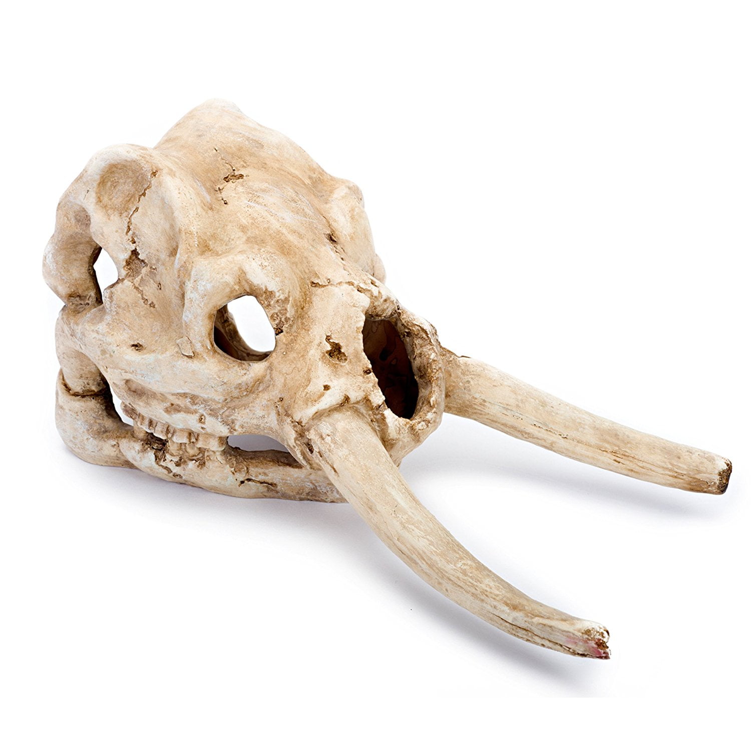 Mammoth Skull Aquarium Decoration, The Mammoth Skull will make the perfect rustic addition to
