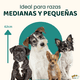 thumbnail image 3 of Casa para perro Mediano / Chico MascoAmigo con Puerta Metalica-Termica-de plastico 75x65x63 cm Verde, 3 of 8