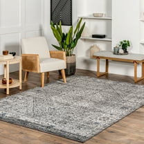 nuLOOM Victoria Distressed Medallion Area Rug, 4' x 6', Gray