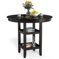 thumbnail image 1 of Costway 36.5" Comptoir Hauteur Table à Manger W / 42" Table Ronde et 2 Étages Étagère de Stockage, 1 of 10