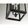 thumbnail image 4 of Gibbes Street Collection Three-Light Hanging Lantern, 4 of 9