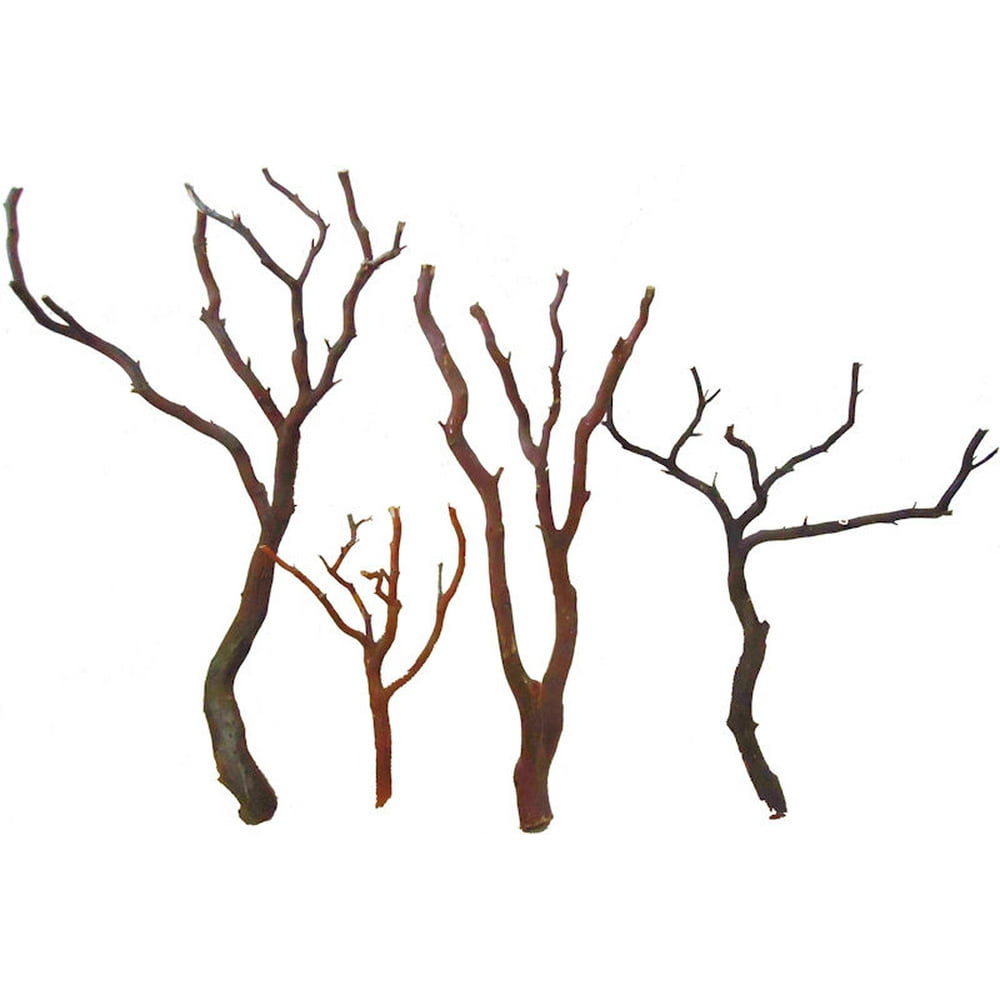 Natural Brown Manzanita Bird Perches Trees 1215" / 2430" Case of