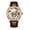 Rose Gold Leather, variant on AESOP Tourbillon Skeleton Cow Dial Mechanical Hand Wind Wrist Watch Men Sapphire Crystal Diamond Business Double-sided Hollow Waterproof Clock Man Luminous Steel Leather Wristwatch