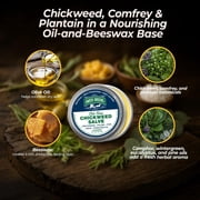Amish Origins Old Time Chickweed Salve 2 fl oz Natural Skin Salve with Olive Oil & Beeswax Moisturizing Skin Care Balm