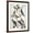 Brown Frame, variant on Art.com Audubon: Bluebirds Giclee Print by John James Audubon, Black Frame Wall Art, 23" x 29"