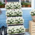 thumbnail image 6 of Zukuco Artificial Flowers for Outdoors, 4 Pack Geraniums Silk Flowers UV Resistant No Fade Faux Flowers Geraniums Bush for Home Outdoor Garden Porch Window Vase Wedding Decor (White), 6 of 7