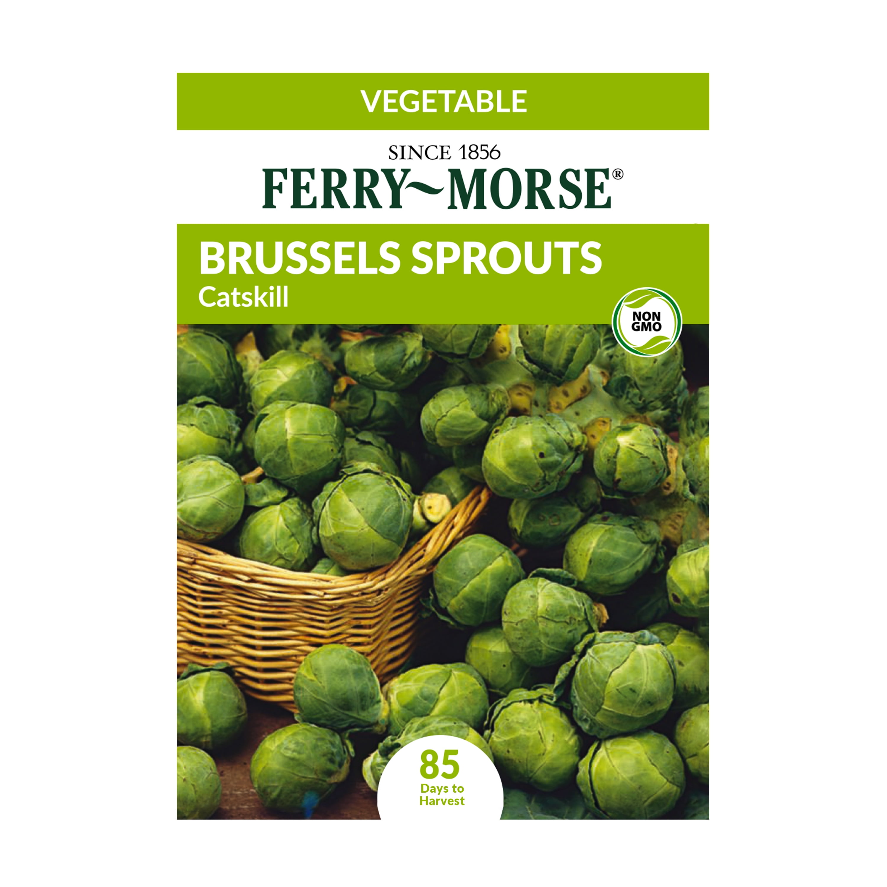 Ferry-Morse 82.5MG Brussels Sprouts Catskill Vegetable Plant Seeds (1 Pack)- Seed Gardening, Full Sunlight