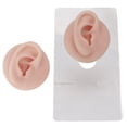 thumbnail image 1 of Silicone Ear Model, Soft Structure Human Ear Model For  Practice Ear Model, Soft Silicone Clear Structure Human Ear Model For  Practice, 1 of 8