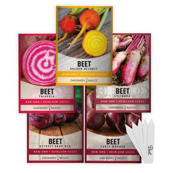 Beet Seeds For Planting | 5 Variety Pack
