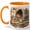 Orange, variant on Cozy Journal Coffee Mug, Cat Lover Writing Mug, Bookish Self Care Birthday Christmas Gift for Women, Warm Cafe Desk Books Sleeping Cat Art, 11 oz White Ceramic Coffee Cup
