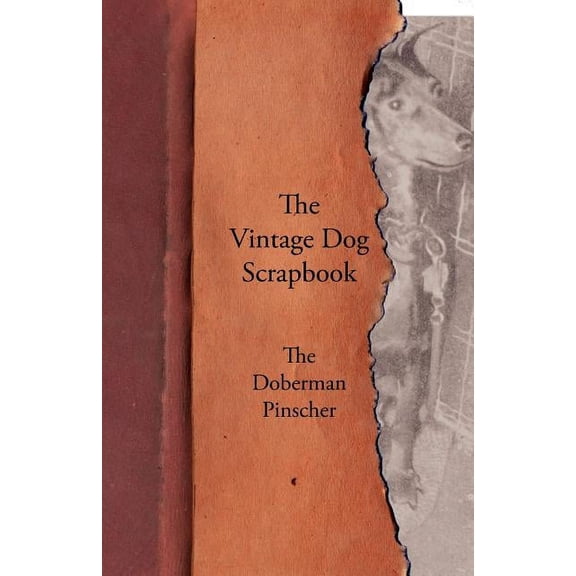 The Vintage Dog Scrapbook - The Doberman Pinscher (Paperback)