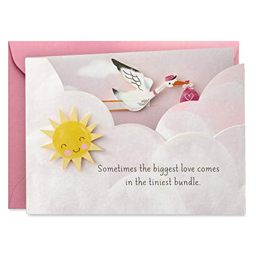Hallmark Paper Wonder Paper Craft Baby Shower Card for Baby Girl Stork 