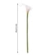thumbnail image 5 of Inteprter 1 Uds. De lirio de Cala Artificial, decoración Floral para el hogar, oficina, PU, flor falsa, flor para ceremonia de boda, decoración Flores artificiales blanco amarillo PC 1, 5 of 6