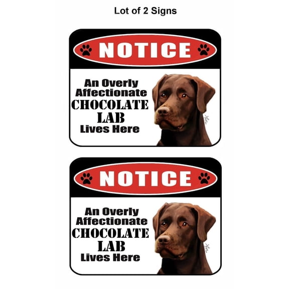 2 Count Notice an Overly Affectionate Chocolate Lab Lives Here 9 inch x 11.5 inch Laminated Dog Sign