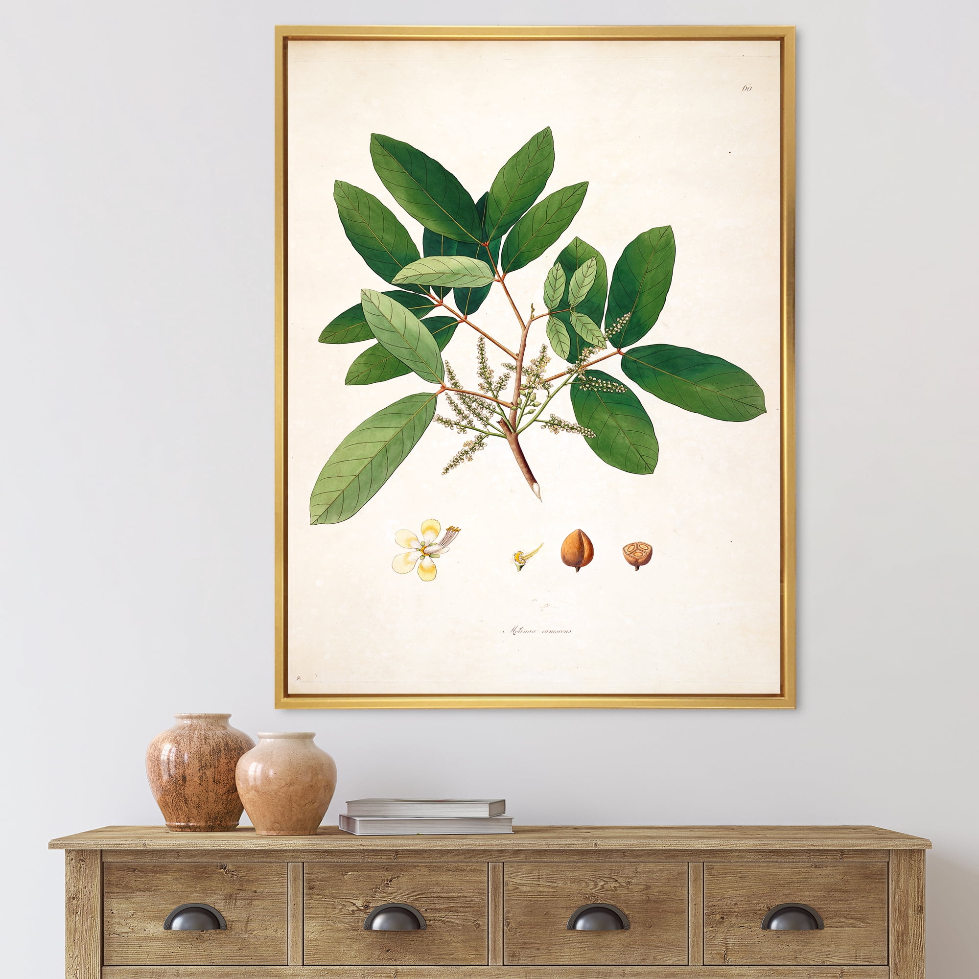 Designart 'Ancient Botanicals II' Farmhouse Framed Canvas Wall Art Print