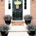 thumbnail image 2 of 8Pcs Artificial Grass Plant Fake Outdoor Plastic Plants UV Resistant Faux Grasses Greenery Shrubs for Window Box Garden Patio Porch Home Decor Red, 2 of 5