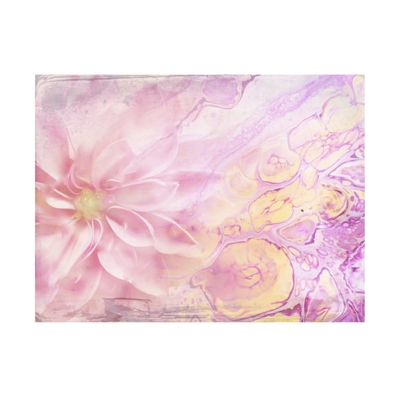 Trademark Fine Art Rafal Kulik Ombre flower Canvas Wall Art