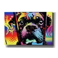 thumbnail image 1 of Epic Graffiti 'Choose Adoption Boxer' by Dean Russo, Giclee Canvas Wall Art, 26"x18", 1 of 8