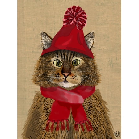 Art.com Maine Coon Cat Art Print by Fab Funky, 12" x 16"