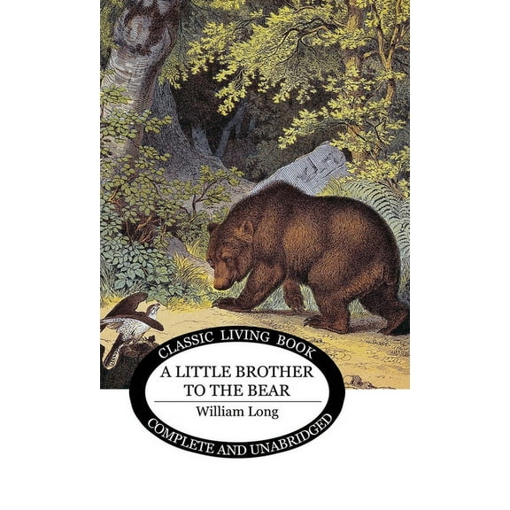 Little Brother to the Bear, (Hardcover)