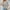 White, variant on NTACZA Striped Tops for Women Trendy Knitted Cotton Beige Crew Neck Batwing Tank Sweater Womens Tunics