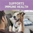 thumbnail image 5 of Purina Beyond Immune Health Wet Dog Food Natural Soft Turkey & Green Bean, 12.5 oz Can, 5 of 12
