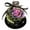 Purple, variant on Preserved Flowers, Rose in Glass Dome with LED Light, Eternal Flower, Forever Flores in Glass Dome, Forever Flowers Gift for Mothers Day Anniversary Birthday Valentines Christmas and Thanksgiving